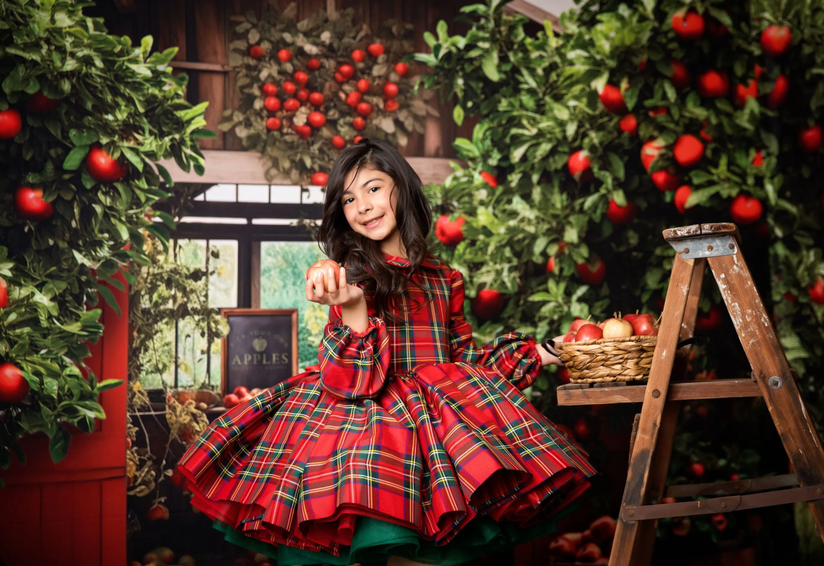 Couture gown rental: "Darling Plaid" Red Vintage Dress Sleeve ( 5 Year - Petite 6 Year)