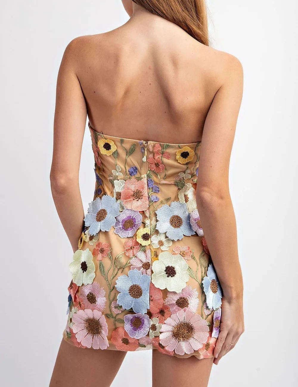 Darby Embroidered Tube Mini Dress